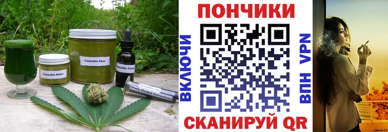 Cannafood конопля  Краснознаменск 
