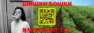 индика Камышлов