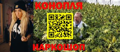 сатива Канаш