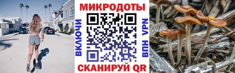 Псилоцибиновые грибы GOLDEN TEACHER blacksprut вход Краснознаменск