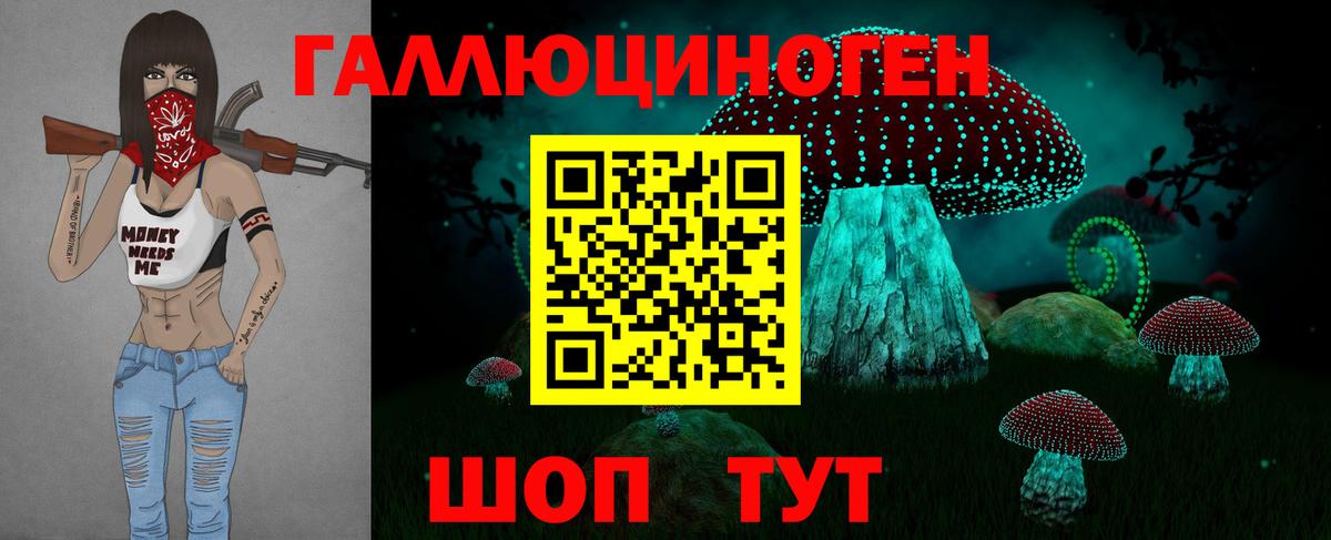 Галлюциногенные грибы мицелий  даркнет сайт  Краснознаменск  Вход с VPN 