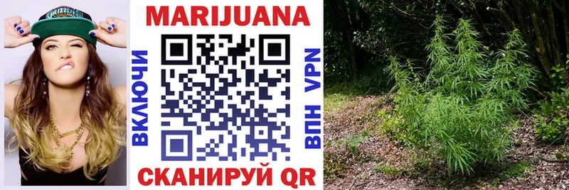 Бошки марихуана VHQ Краснознаменск
